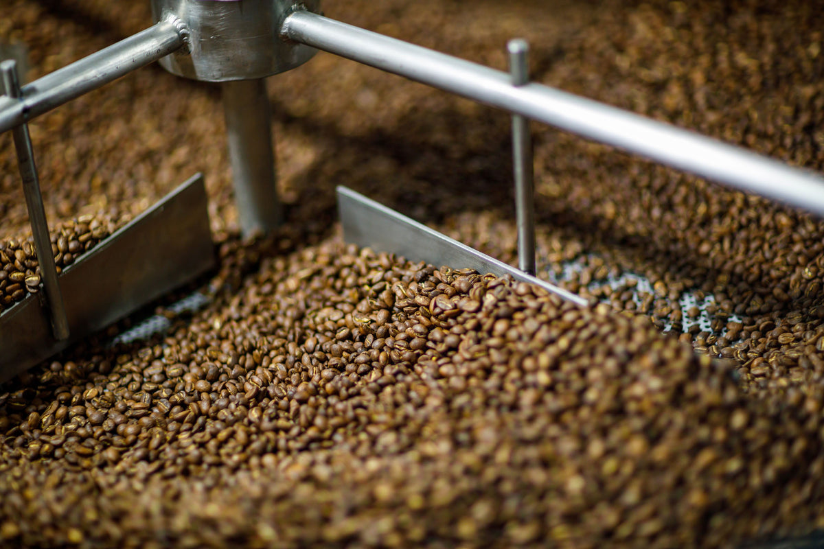 Single Origin